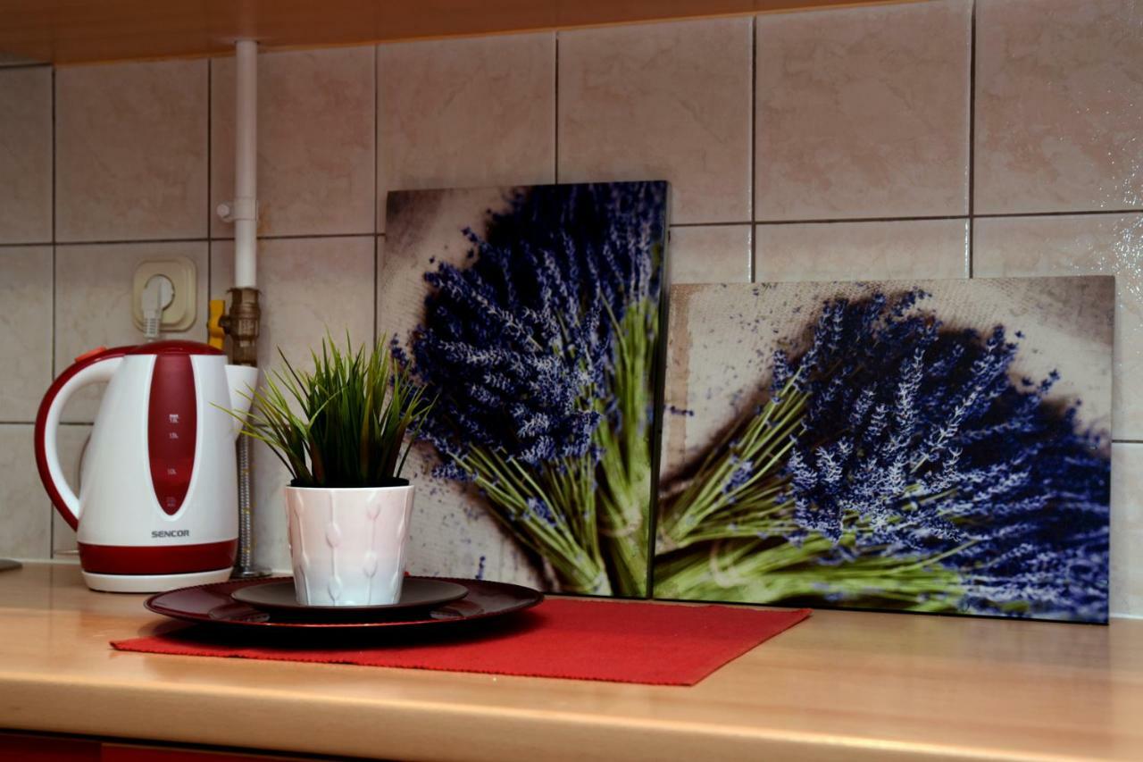 Apartament Studio Apartman D Sesvete Zewnętrze zdjęcie